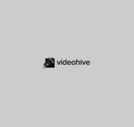 Video Hive